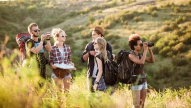 Discover the Magic of Coastal Alex Savannah Year-Round